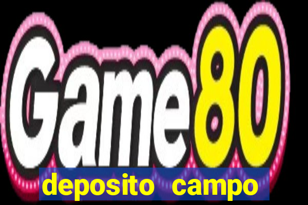 deposito campo grande santos